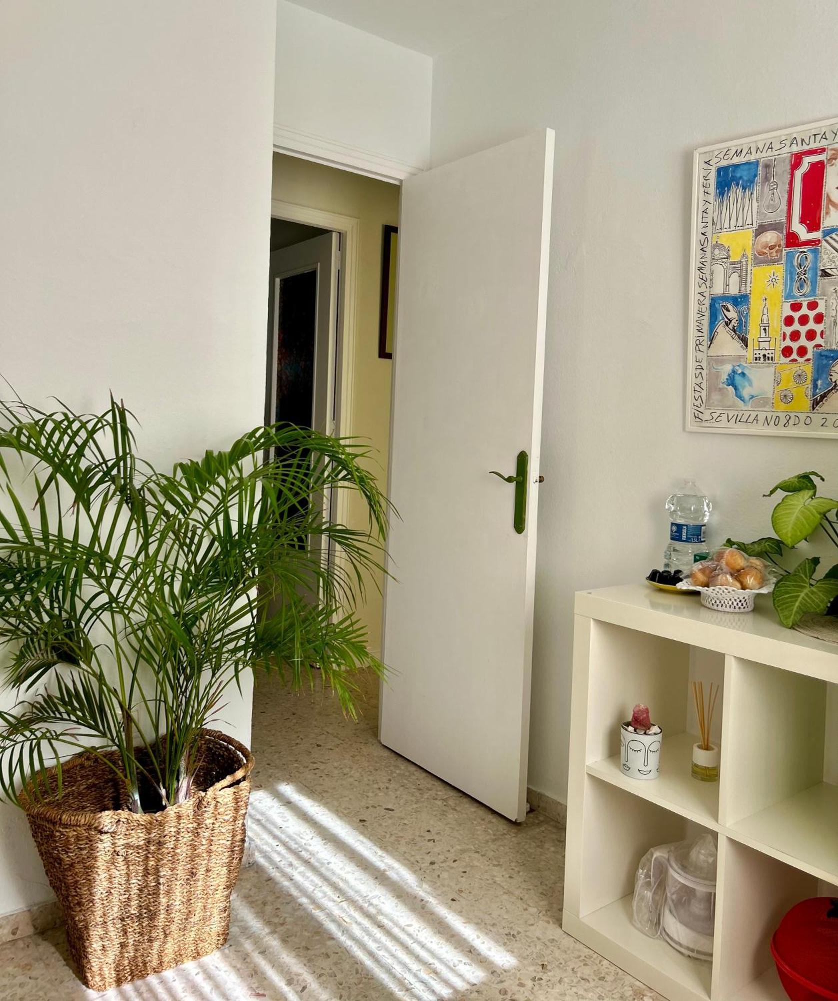 Arco Macarena Apartment Sevilla Exterior foto
